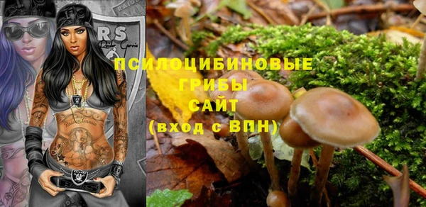 гидра Арсеньев