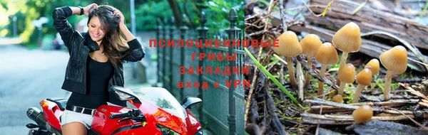 гидра Арсеньев