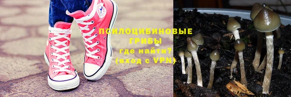 гидра Арсеньев