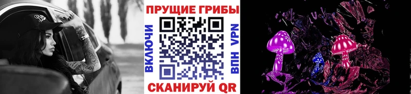 Псилоцибиновые грибы Psilocybe  продажа наркотиков  Валдай 
